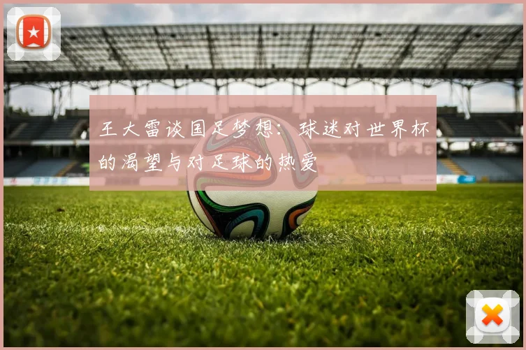 王大雷谈国足梦想：球迷对世界杯的渴望与对足球的热爱