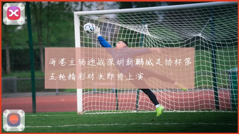 海港主场迎战深圳新鹏城足协杯第五轮精彩对决即将上演